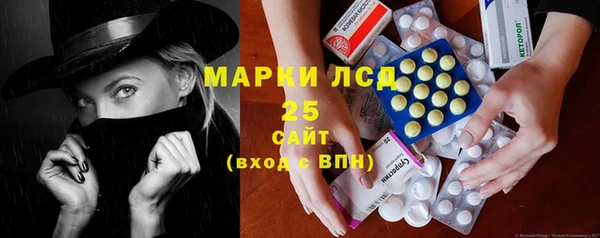 шишки Аркадак