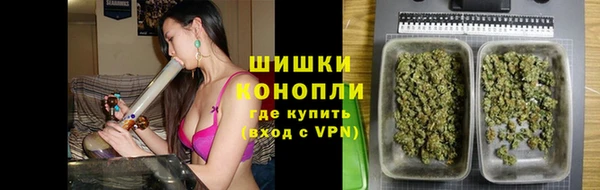 сатива Арсеньев
