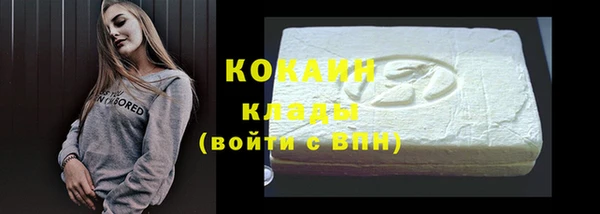 шишки Аркадак