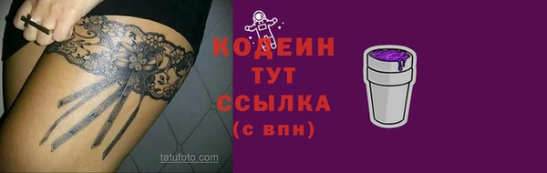 сатива Арсеньев
