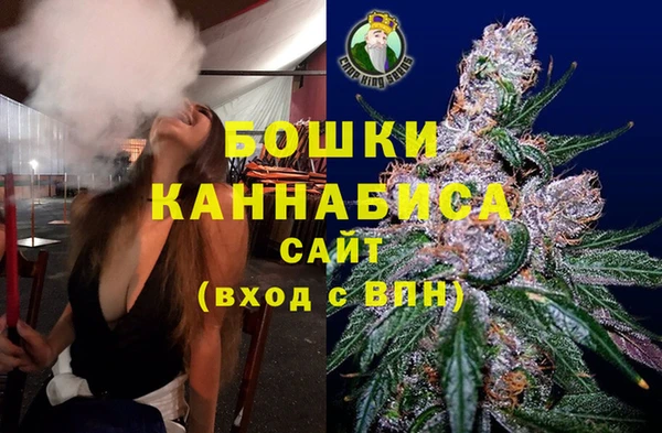 шишки Аркадак