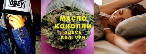 шишки Аркадак