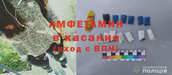 шишки Аркадак