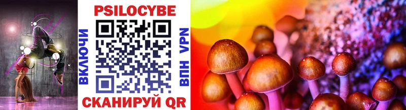Псилоцибиновые грибы Cubensis  где купить   Аша 